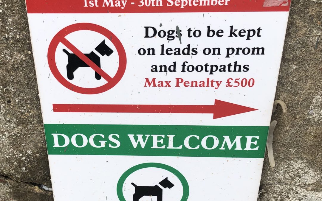 Dog free sign